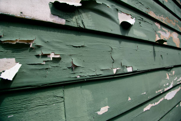 Best Composite Siding  in Inniswold, LA
