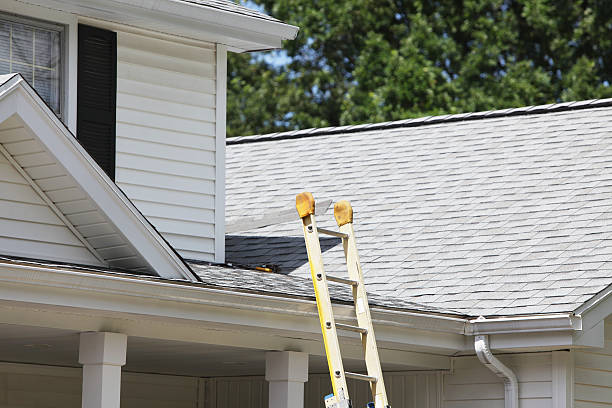 Best Stucco Siding  in Inniswold, LA